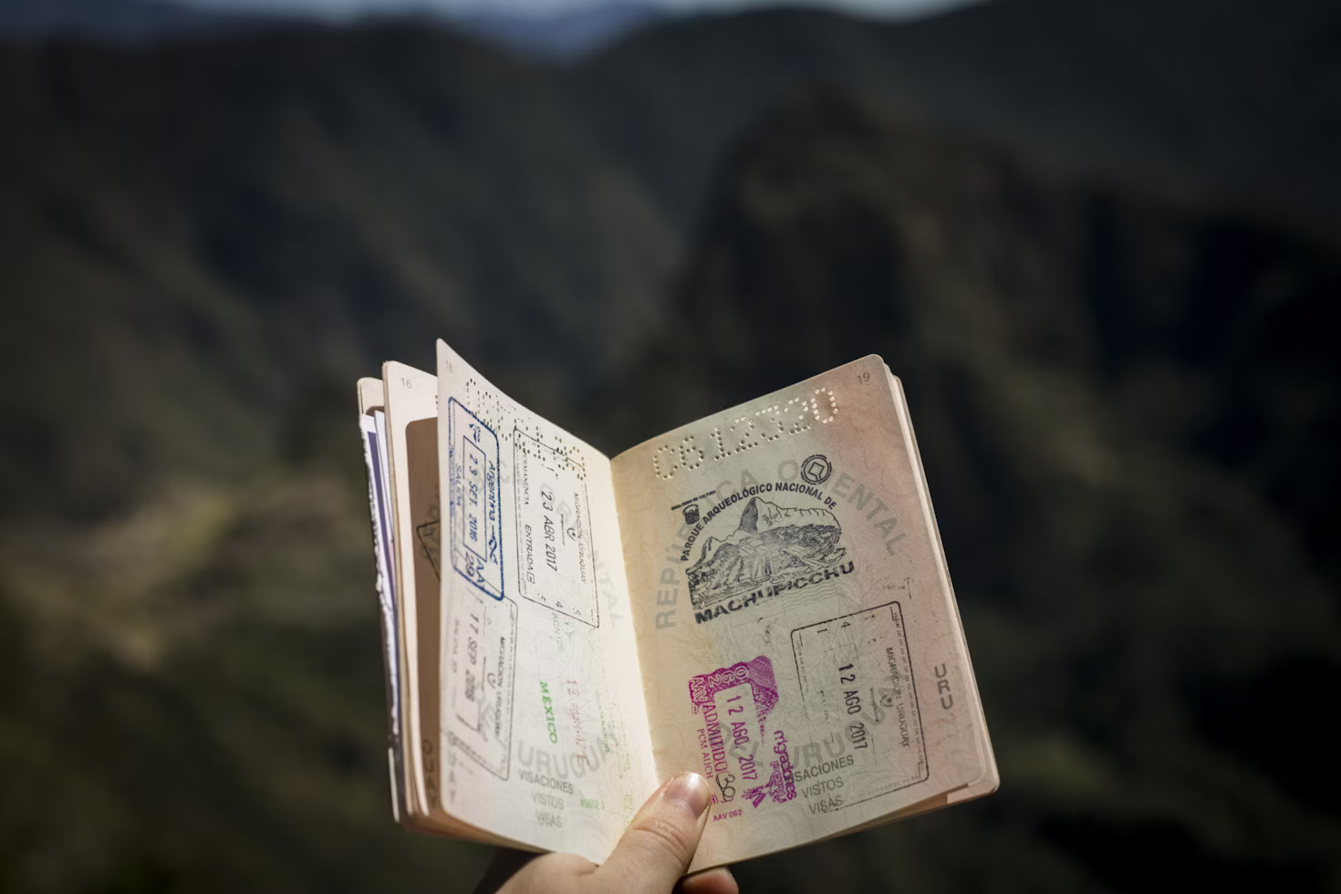 How to Checking UAE Visa Status Using Your Passport